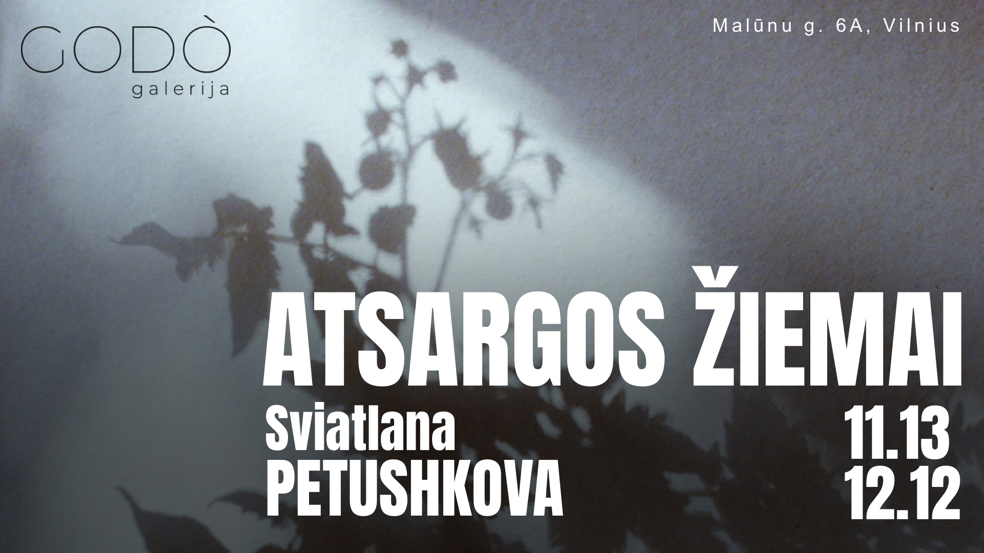 Atsargos Žiemai - solo exhibition. Nov 13 at Godo Gallery
